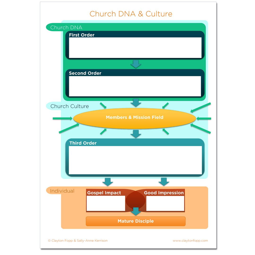 DNA & Culture Flowchart blank