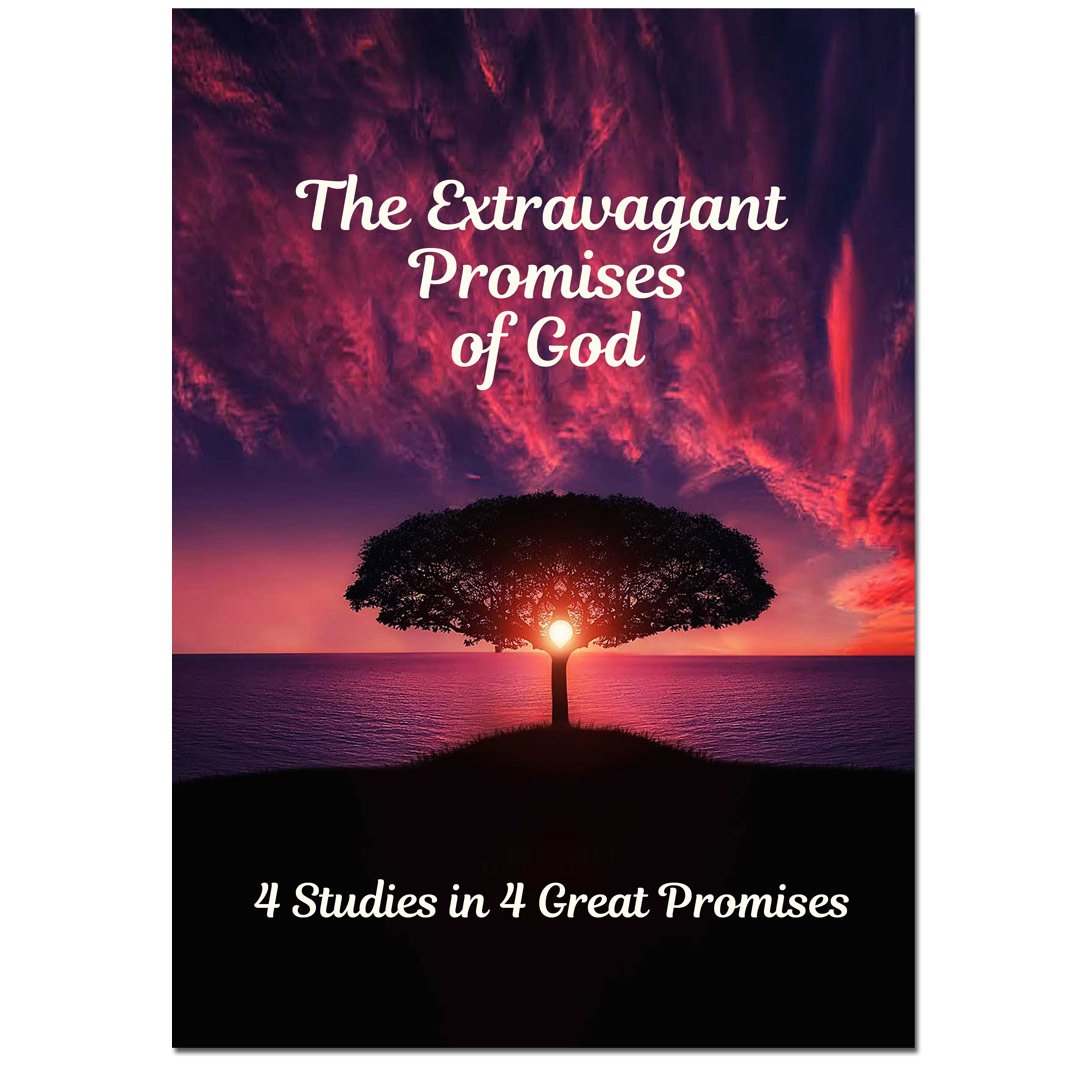 The Extravagant Promises of God Study Guide